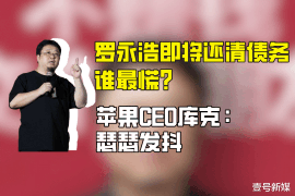 磐安企业清欠服务